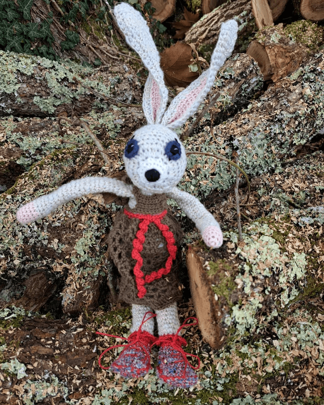 Mandoline 🐰 la copine de Banjo